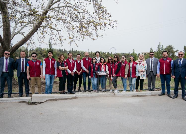 Daha bir neçə rayonda "Vətən Bağı" yaradıldı - FOTO