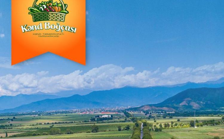 Agricultural fair "Kend Bogchası" will be held in Zagatala 