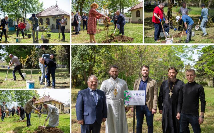«Сад памяти» прошел в Азербайджане 