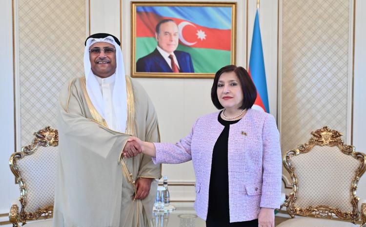 Milli Majlis Speaker Sahiba Gafarova Meets with Head of Arab Parliament 