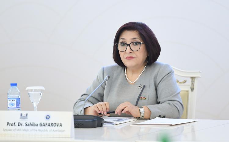 Сагиба Гафарова проинформировала об антитеррористических мерах 