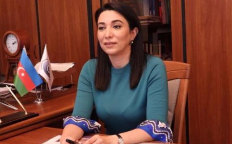 Ombudsman Qarabağ ermənilərinin hüquqlarının təmin olunmasından DANIŞDI 