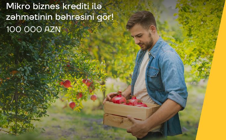 Bizneslə məşğul olanlara sərfəli mikro kredit! 
