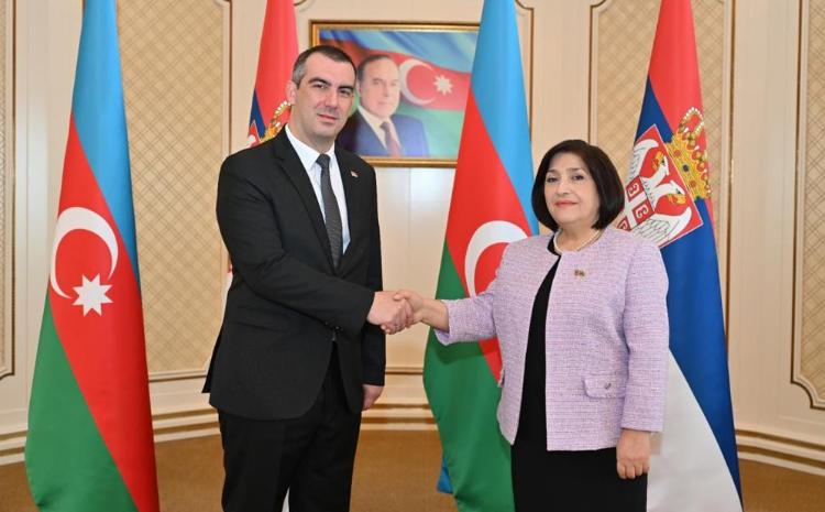 Milli Majlis Speaker Sahiba Gafarova Meets with Chairman of National Assembly of Republic of Serbia 