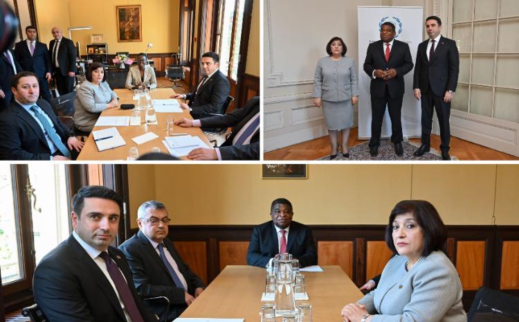 Sahiba Gafarova Meets with Speaker of Armenian Parliament Alen Simonyan in Geneva 