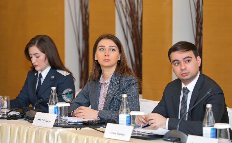 "Vətəndaşsızlıq məsələləri üzrə İşçi Qrup"un növbəti iclası keçirilib 