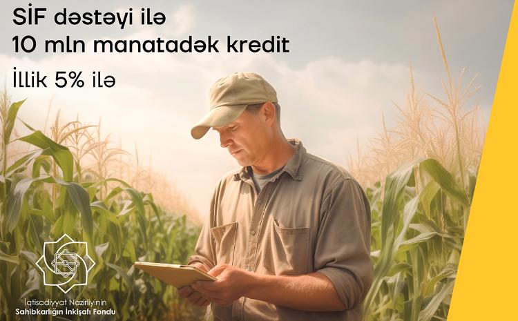 Yelo Bank-dan illik 5%-lik kreditlə biznesinizi böyüdün 