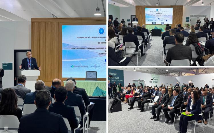 COP29 çərçivəsində ilk bərpa olunan enerji hərracının qalibi elan edilib 