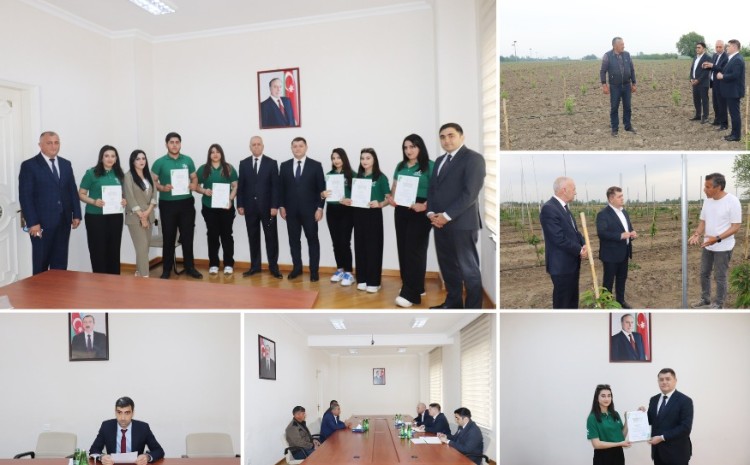 İlham Süleymanov Bərdədə vətəndaşları qəbul edib, təsərrüfatlara baş çəkib 