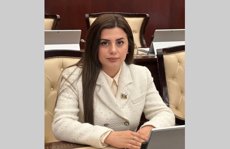 Pərvanə Vəliyeva: “Azərbaycanla İran regionda güclü və suveren tərəfdaşlardır” 