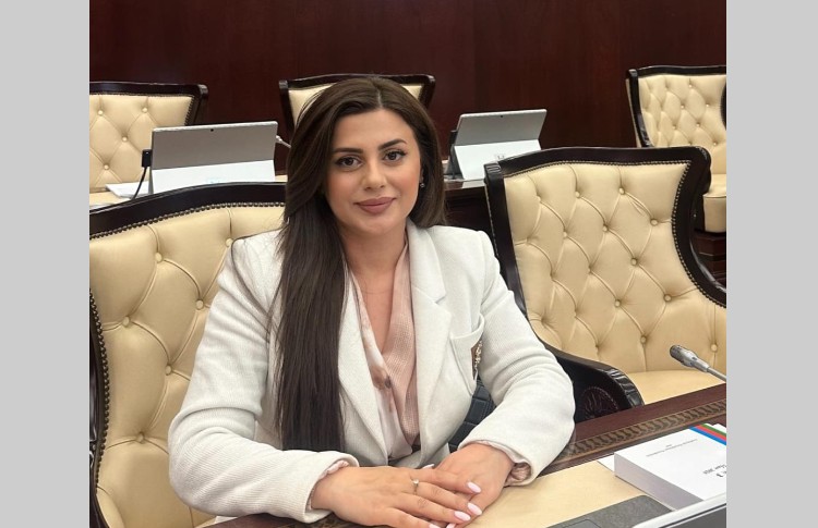 “Azərbaycanda mətbuat azadlığı uğrunda 150 illik yol” - Pərvanə Vəliyeva 