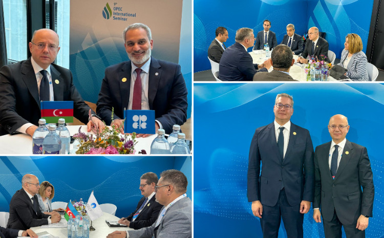 Vyanada OPEC, GECF-in Baş katibləri və Misirin naziri ilə görüşlər keçirilib 