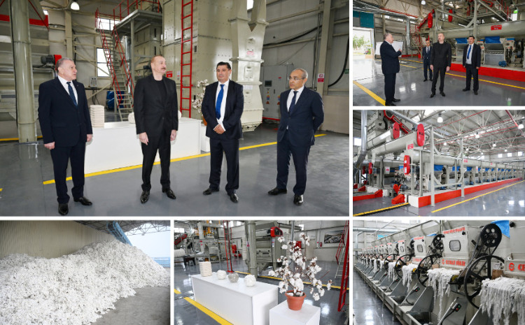 Prezident İlham Əliyev Sabirabadda pambıq emalı zavodunun fəaliyyəti ilə tanış olub 