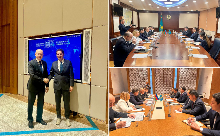 Energy Minister held several meetings in Astana 