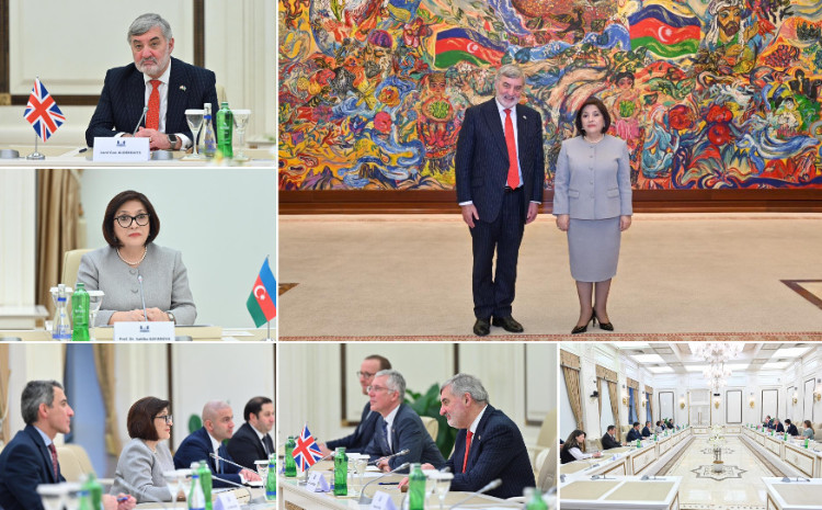 Sahiba Gafarova Meets Trade Envoy of United Kingdom of Great Britain and Northern Ireland to Azerbaijan 