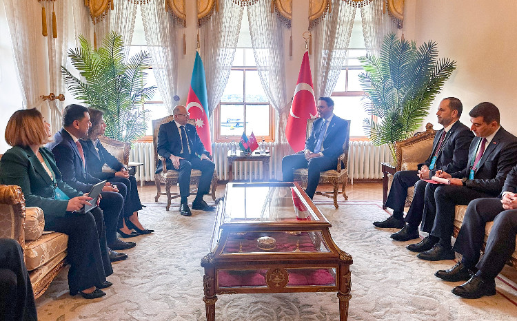 İstanbulda Azərbaycan-Türkiyə energetika nazirlərinin görüşü olub 