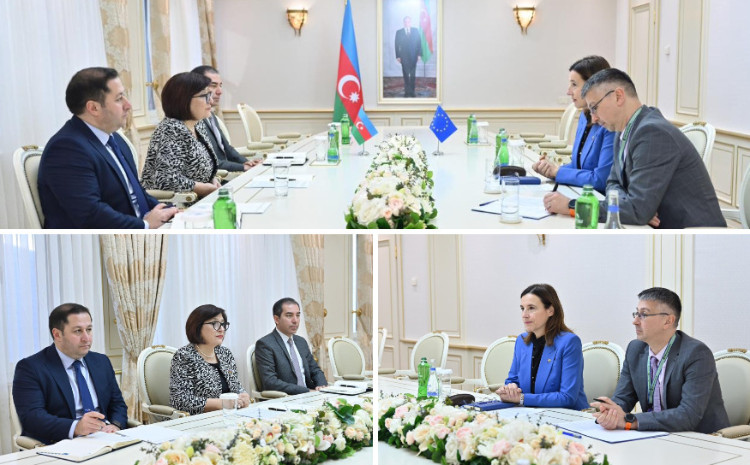 Speaker of Milli Majlis Sahiba Gafarova Meets with Head of European Union Delegation to Azerbaijan 