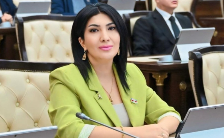 “Əsas məqsəd yerli rejissorların irəli çəkilməsi və onlara etimadın göstərilməsi olmalıdır” - Elnarə Akimova 