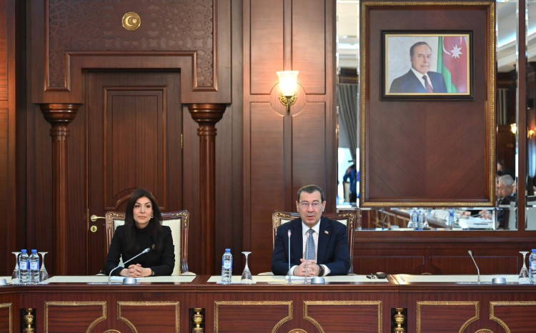 Milli Məclisin Beynəlxalq münasibətlər və parlamentlərarası əlaqələr komitəsinin iclası keçirilib 