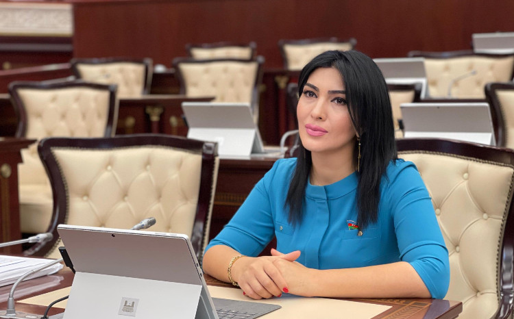 Azərbaycanın beşillik yol xəritəsi Prezidentin müsahibəsində açıqlandı 