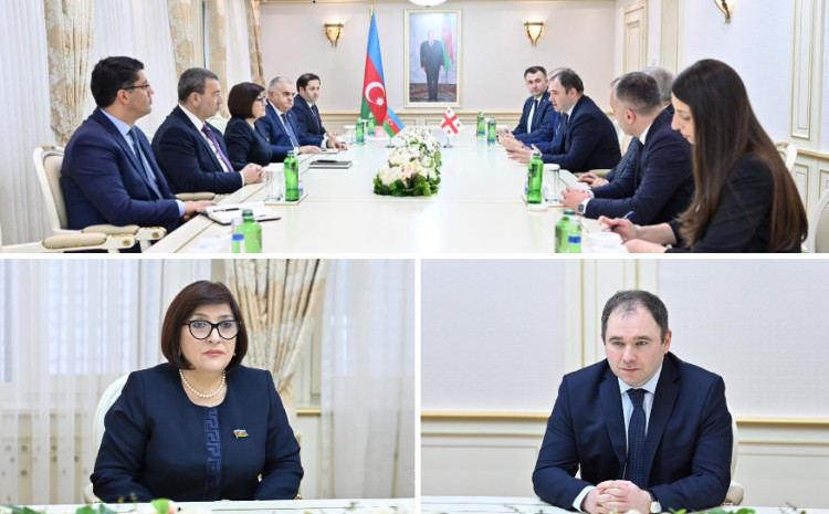 Speaker of Milli Majlis Sahiba Gafarova Meets with Chairman of Foreign Relations Committee of Parliament of Georgia 