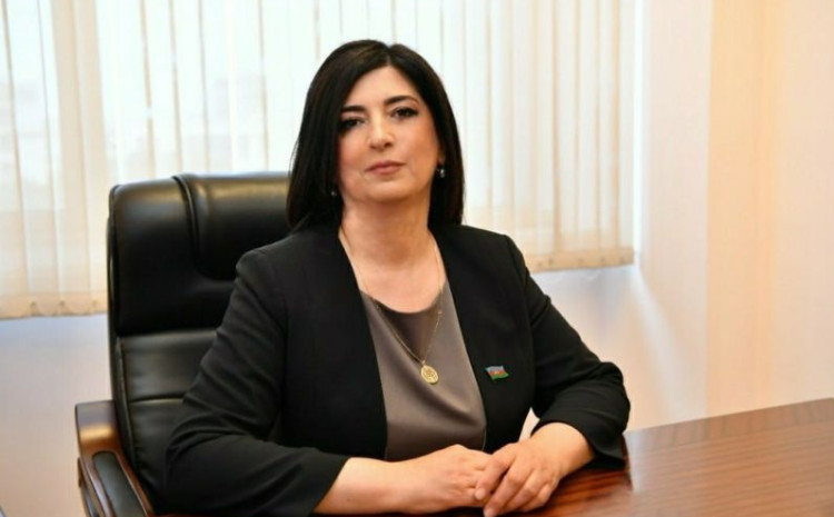 Milli dəyərlərə hücum edənlər ifşa olunur - qanun qarşısında cavab qaçılmazdır 