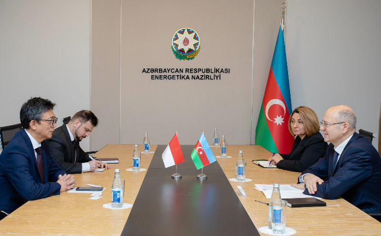 Azerbaijan-Indonesia energy cooperation was discussed 
