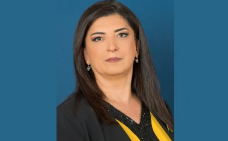 Belçika və Niderlanddan Azərbaycana qarşı qərəzli addım: saxta qətnamələr ifşa olunur 