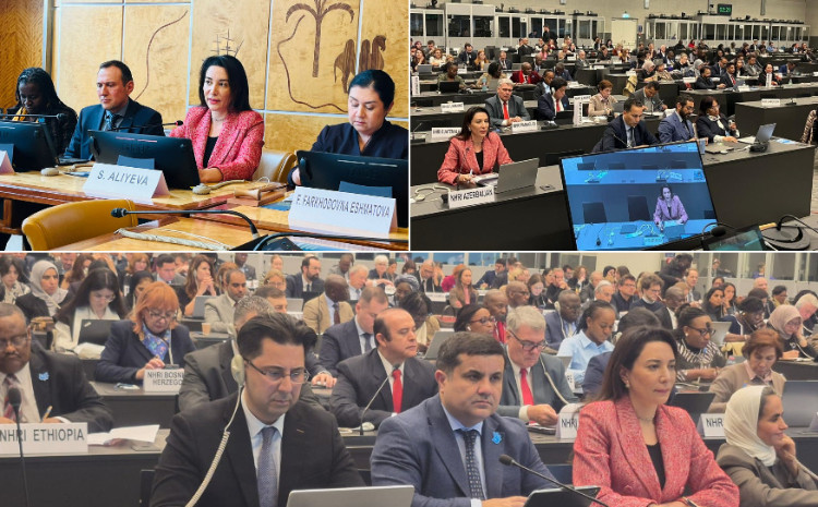 Ombudsman Milli İnsan Hüquqları Təsisatlarının Qlobal Alyansının illik iclasında iştirak edib 