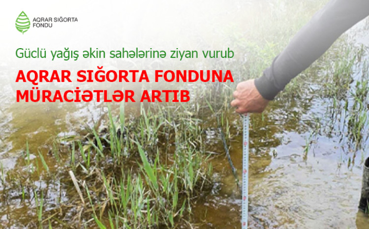 Güclü yağışlar 2100 hektara yaxın əkin sahəsinə zərər vurdu 