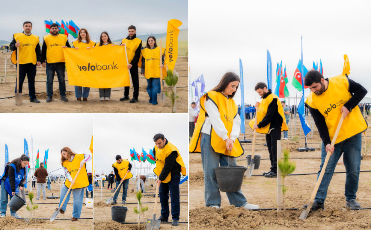 Yelo Bank поддерживает цель в 1 000 000 деревьев! 