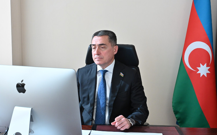 Milli Məclisin Hüquq siyasəti və dövlət quruculuğu komitəsinin İnsan hüquqları komitəsi ilə birgə iclası keçirilib 