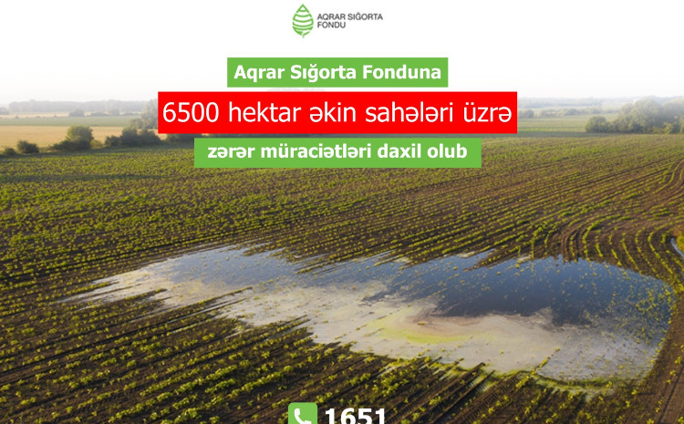 Aqrar Sığorta Fonduna 6500 hektar əkin sahələri üzrə zərər müraciətləri daxil olub 