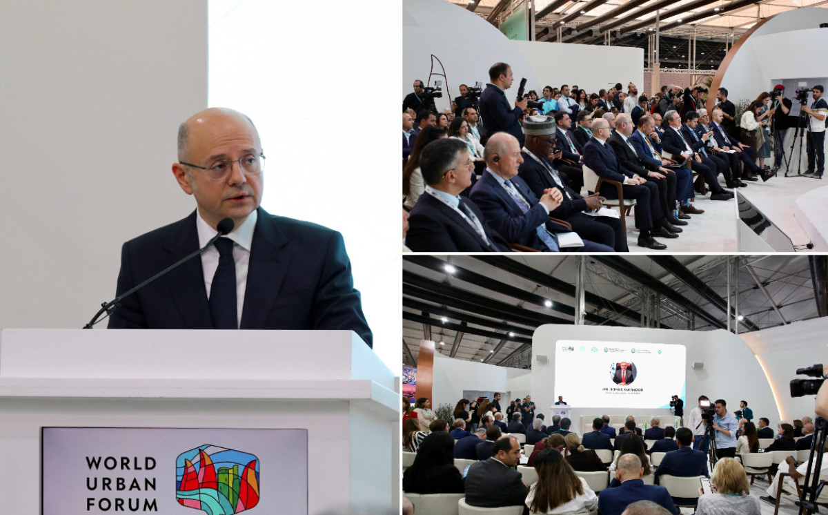 Within WUF13, D-8 High-Level Energy and Urban Dialogue was held 