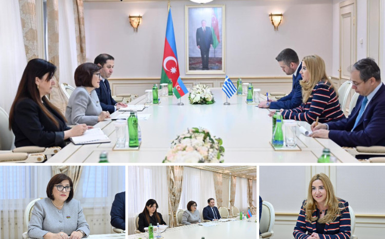 Milli Məclisin sədri Sahibə Qafarova Yunanıstanın ölkəmizdəki səfiri ilə görüşüb 