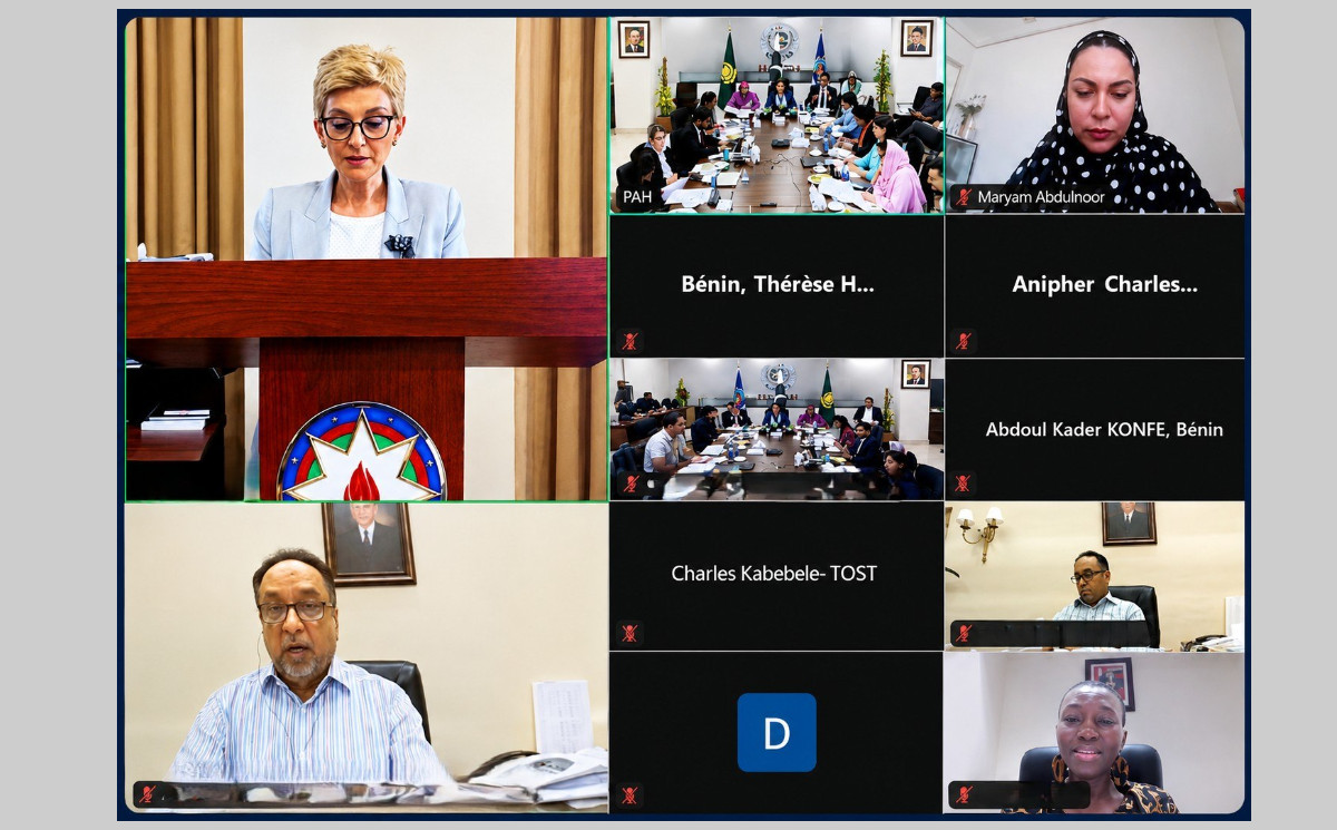An employee of the Ombudsman Office participated in the second meeting of the OICOA Sub-Committee 